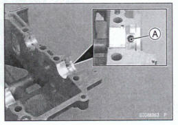 Lower Crankcase Assembly