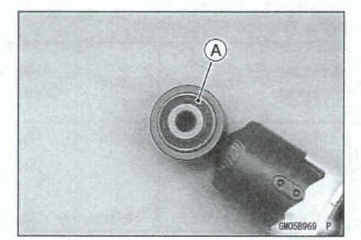 Rear Shock Absorber Inspection 