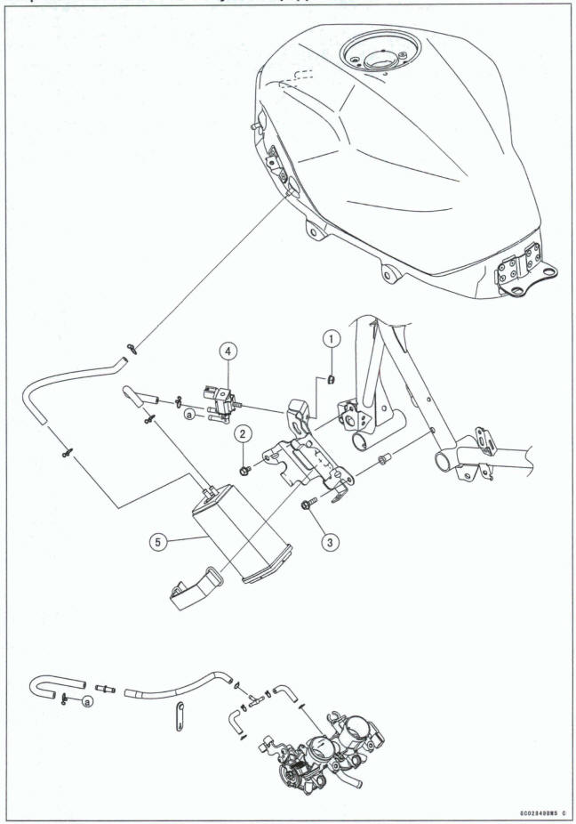 Evaporative Emission Control System Equipped Models