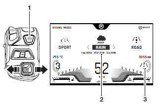 TFT Instrument Display