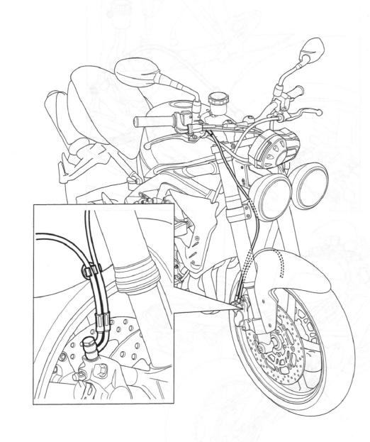 Front Brake Hose Routing - Street Triple R