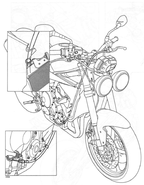 Clutch Cable Routing - Street Triple and Street Triple R