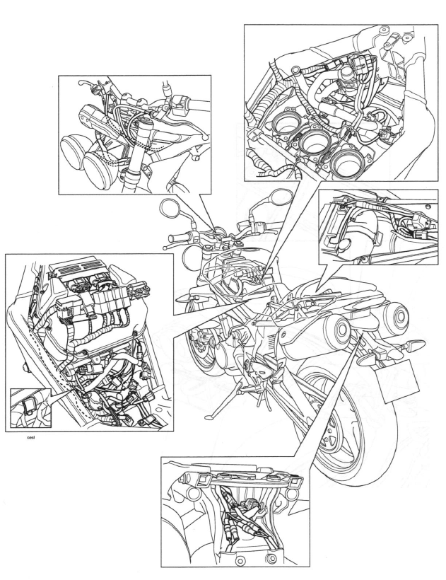 Main Wiring Harness Routing - Street Triple and Street Triple R