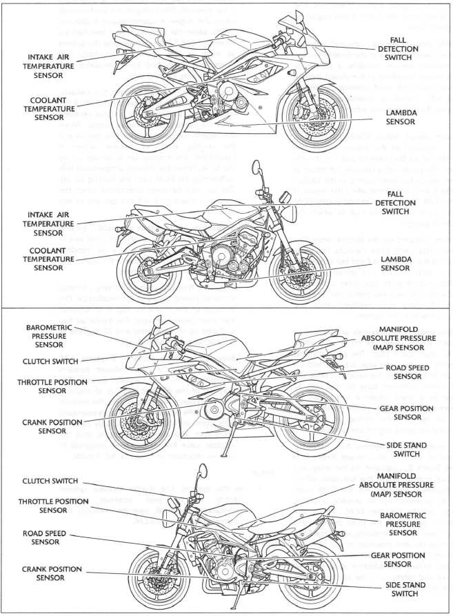 Engine Management System