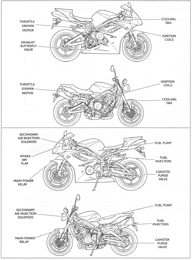 Engine Management System