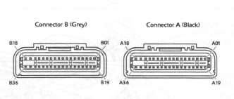 Engine Management System