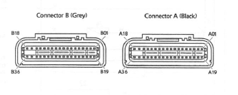 Engine Management System