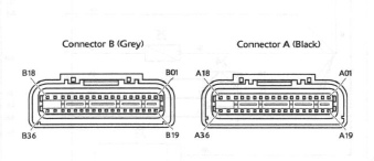 Engine Management System