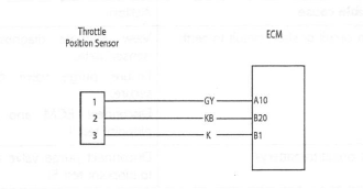 Throttle Position Sensor