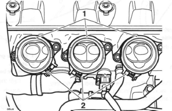 Throttle Bodies/Injectors