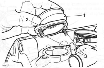 Throttle Bodies/Injectors