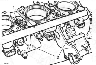 Throttle Bodies/Injectors