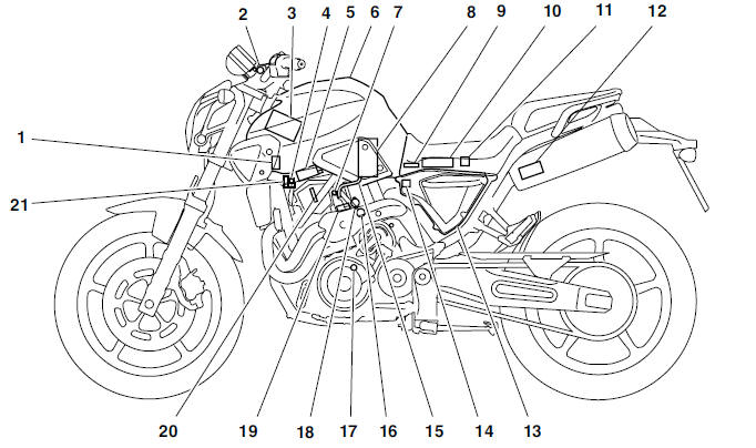 Outline of the FI system