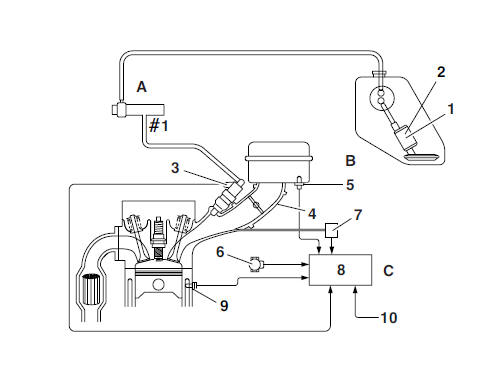 Illustration is for reference only