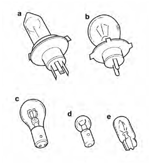 Types of bulbs