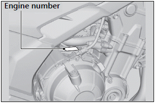 Vehicle Identification Number